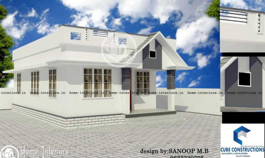 650 Square Feet Single Floor Contemporary Home Design