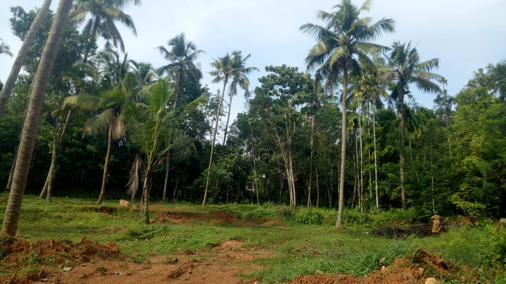 Plots For Sale At  Irinjalakuda