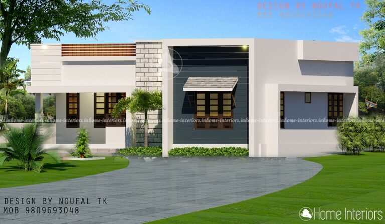800 Square Feet Contemporary Single Floor Home Design